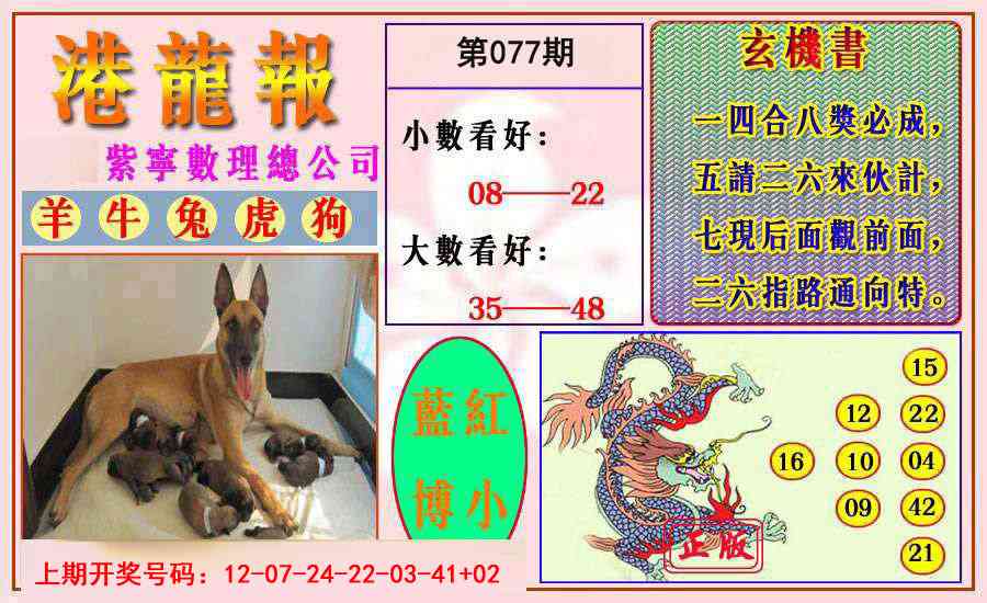 077期港龙报[图]